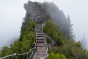 世界保龄球社区推广月志愿者技能提升第24批开班通知，保龄球协会成立的意义